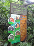 Singapore Zoological Gardens